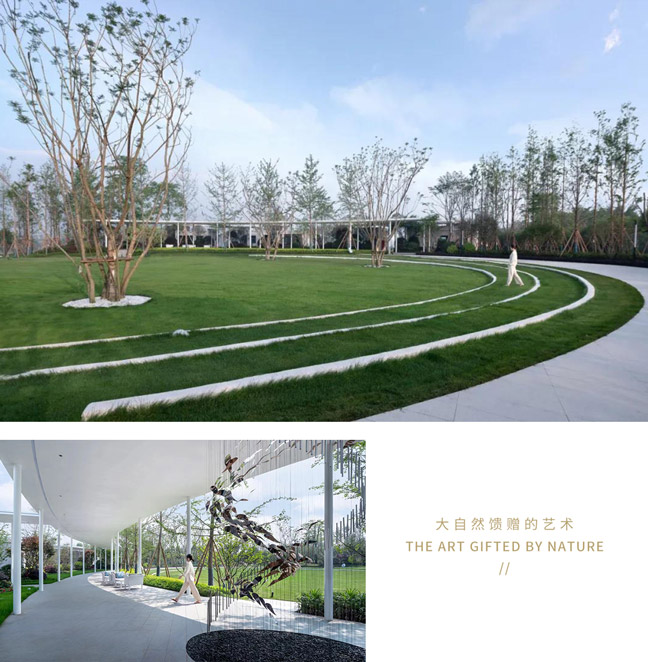 1644995594203822.jpg 4.jpg