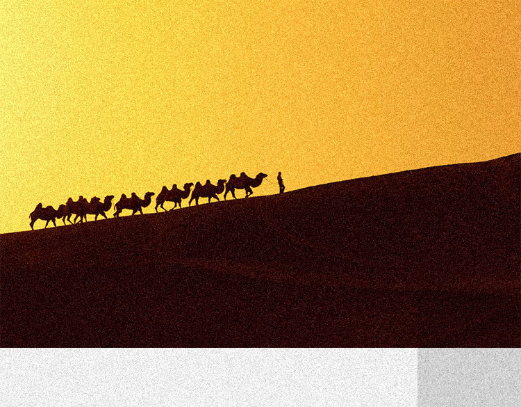 瓷磚歷史 瓷磚歷史