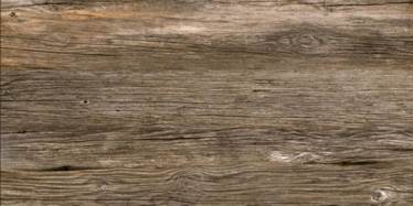 1662366151399163.jpg clip_image006.jpg