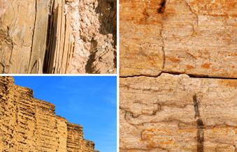 1663558565445378.jpg clip_image002.jpg